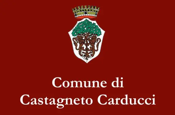 logo comune logo comune