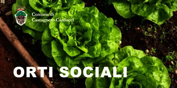 immagine decorativa immagine decorativa