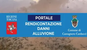 Immagine decorativa