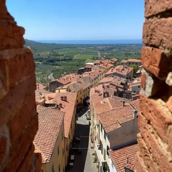 panorama dalla torre del comune panorama dalla torre del comune