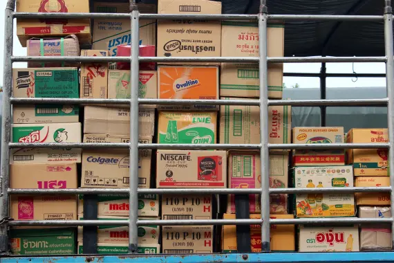 immagine decorativa immagine decorativa