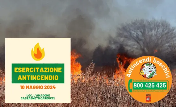 immagine decorativa immagine decorativa