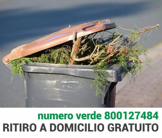 immagine decorativa immagine decorativa