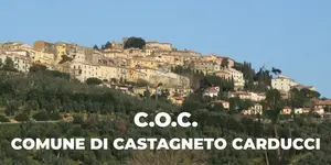 immagine di castagneto capoluogo