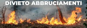 immagine di incendio nel bosco immagine di incendio nel bosco