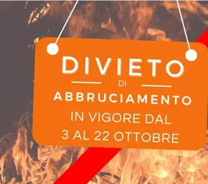 immagine decorativa immagine decorativa