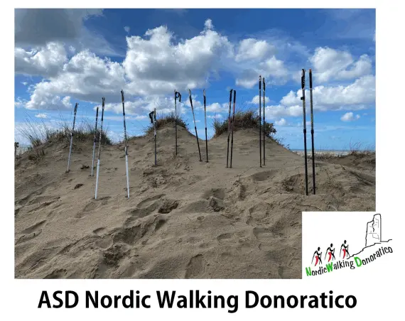 immagine decorativa immagine decorativa