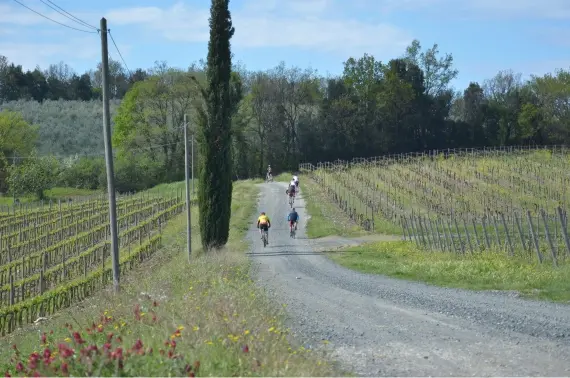 immagine del territorio immagine del territorio