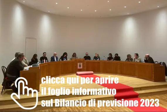 immagine del Consiglio Comunale