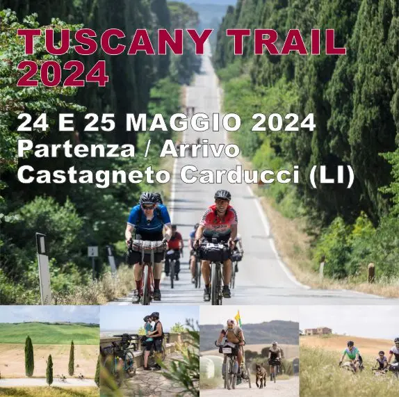 immagine decorativa immagine decorativa