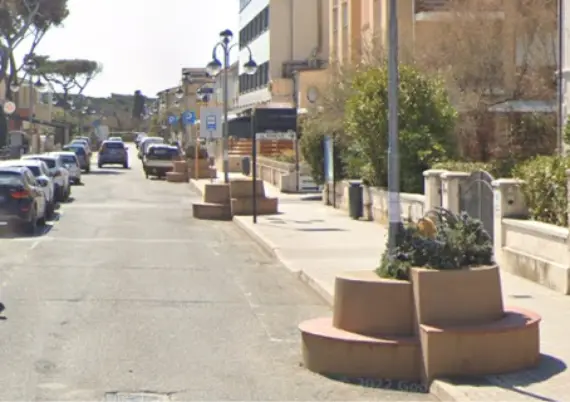 immagine delle fiorere 