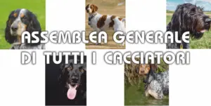 immagine decorativa immagine decorativa