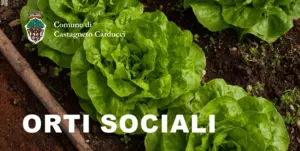 immagine decorativa immagine decorativa