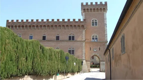 immagine di bolgheri