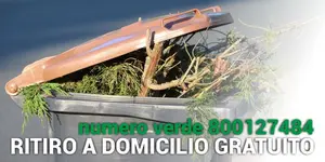 immagine decorativa immagine decorativa