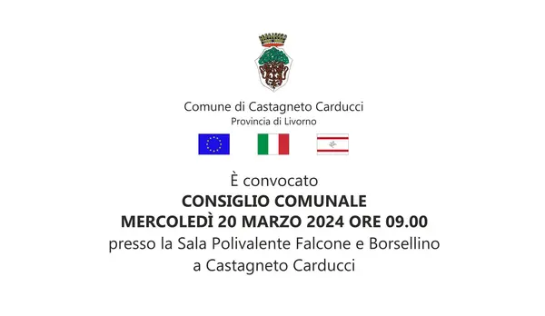 locandina consiglio locandina consiglio